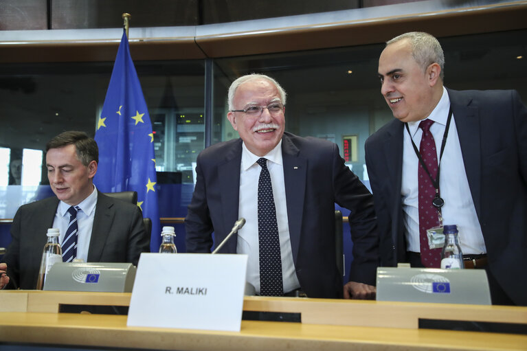 AFET committee meting. Exchange of views with Riyad Al-Maliki, Minister of Foreign Affairs of Palestine