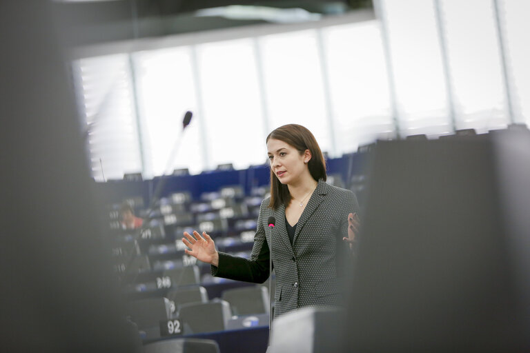 Nuotrauka 2: Katalin CSEH in the EP in Strasbourg