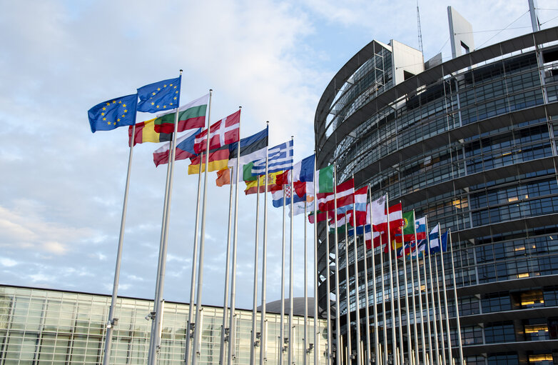 Flags waving in front of the LOW building in Strasbourg