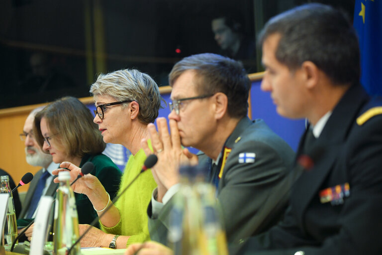 Nuotrauka 11: SEDE seminar - Exchange of views with on the military challenges in Sahel