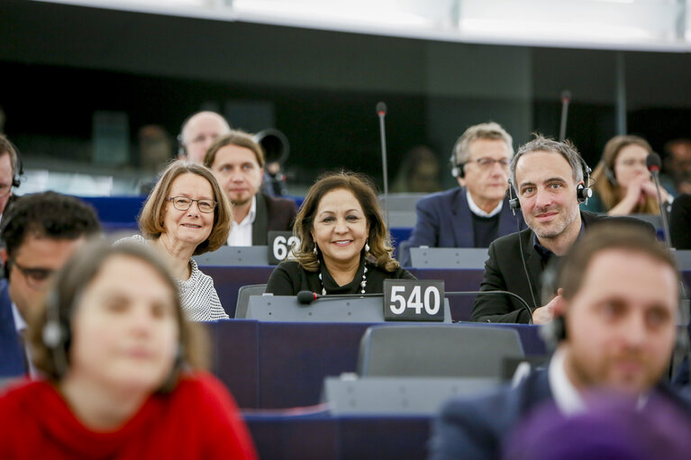 Neena GILL in the EP in Strasbourg