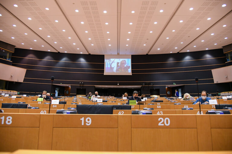 Fotografia 4: ENVI -  Committee on the Environment, Public Health and Food Safety - State of play with the assessment and authorization of vaccines against COVID-19 - Exchange of views with Emer COOKE, Executive Director of the European Medicines Agency (EMA)