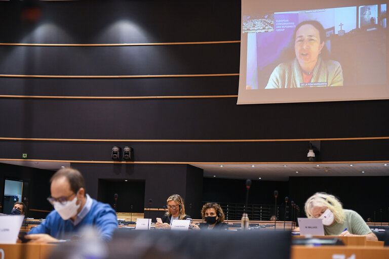 Fotó 10: ENVI -  Committee on the Environment, Public Health and Food Safety - State of play with the assessment and authorization of vaccines against COVID-19 - Exchange of views with Emer COOKE, Executive Director of the European Medicines Agency (EMA)