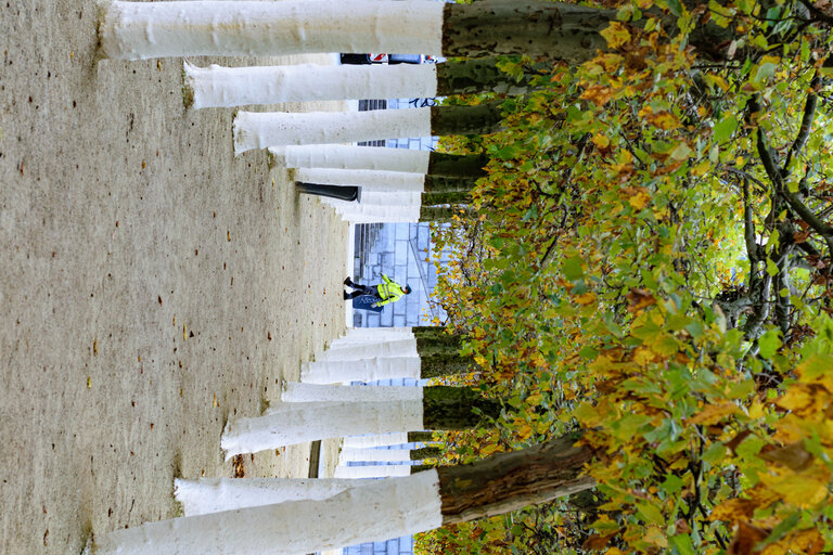 Billede 16: Lockdown situation in Brussels imposed by Belgian authorities to limit the spread of COVID-19 virus