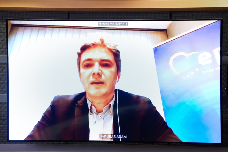 Photo 6: AIDA - Special Committee on Artificial Intelligence in a Digital Age - Hearing on AI and HEALTH