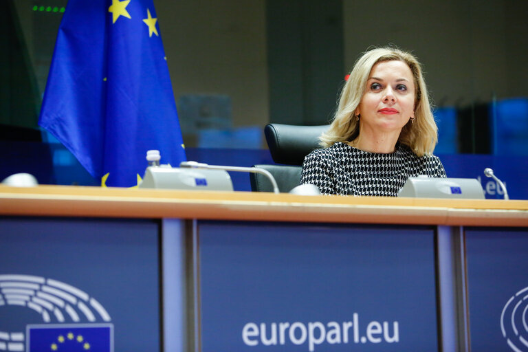 Fotografie 5: AFET - Committee on Foreign Affairs