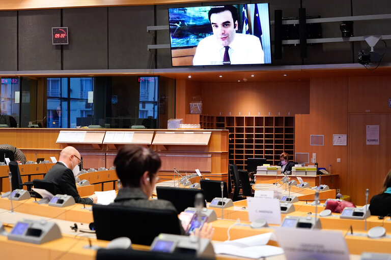 Photo 14: AIDA - Special Committee on Artificial Intelligence in a Digital Age - Hearing on AI and HEALTH