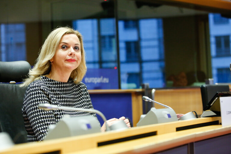 Fotografie 7: AFET - Committee on Foreign Affairs