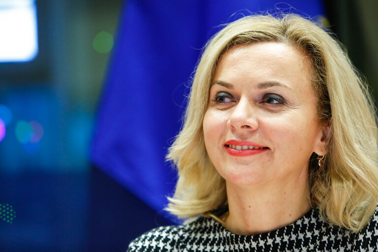 Fotografie 1: AFET - Committee on Foreign Affairs