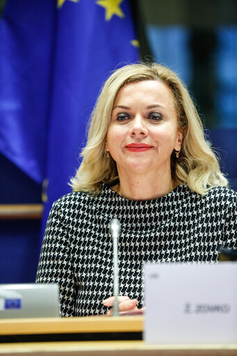 Fotografie 10: AFET - Committee on Foreign Affairs