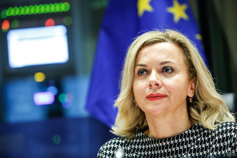 Fotografie 11: AFET - Committee on Foreign Affairs