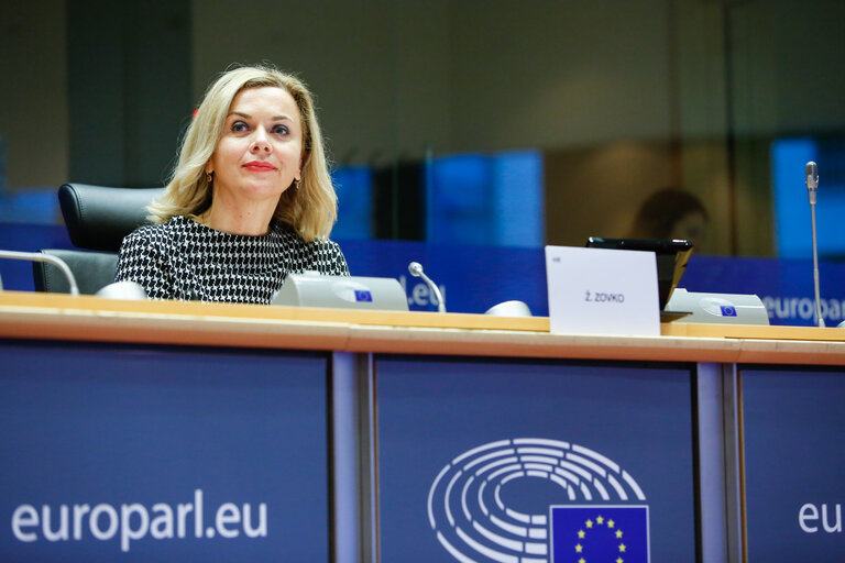 Fotografie 4: AFET - Committee on Foreign Affairs