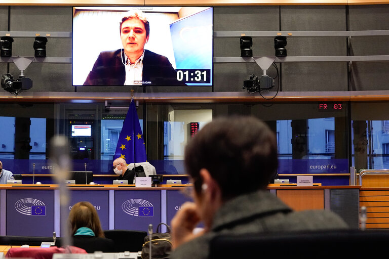 Photo 16: AIDA - Special Committee on Artificial Intelligence in a Digital Age - Hearing on AI and HEALTH