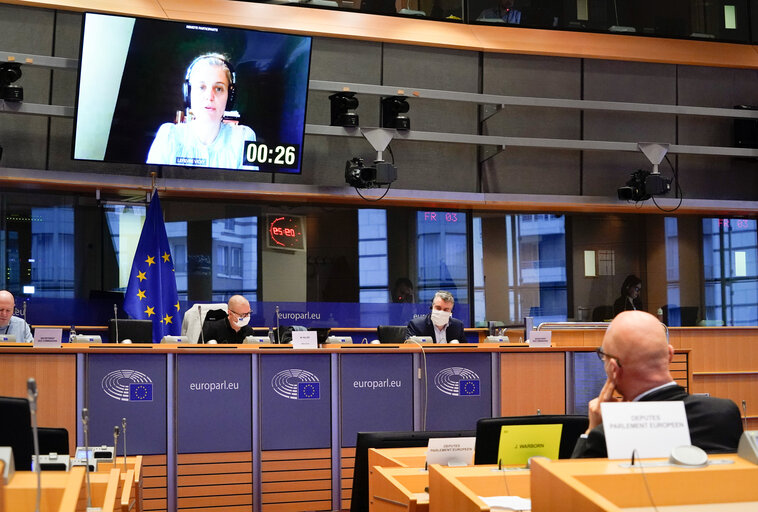 Photo 2: AIDA - Special Committee on Artificial Intelligence in a Digital Age - Hearing on AI and HEALTH