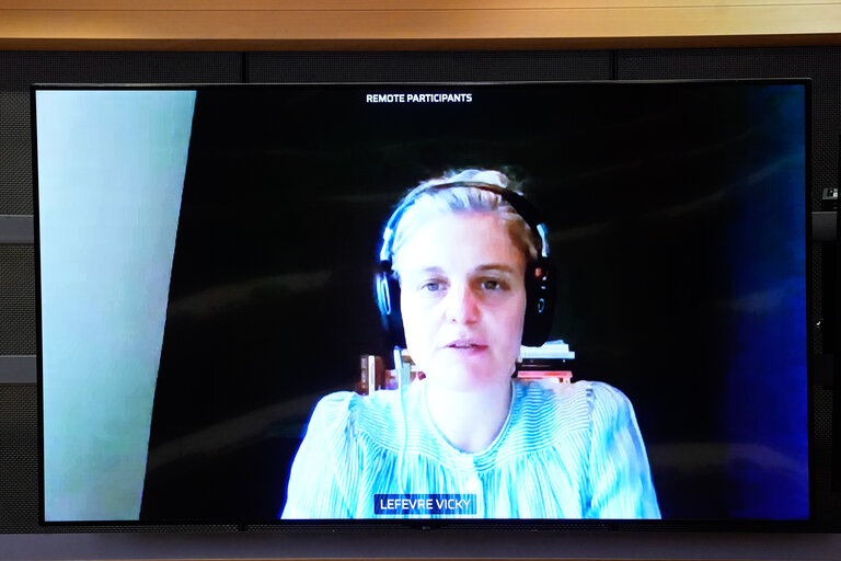 Photo 1: AIDA - Special Committee on Artificial Intelligence in a Digital Age - Hearing on AI and HEALTH