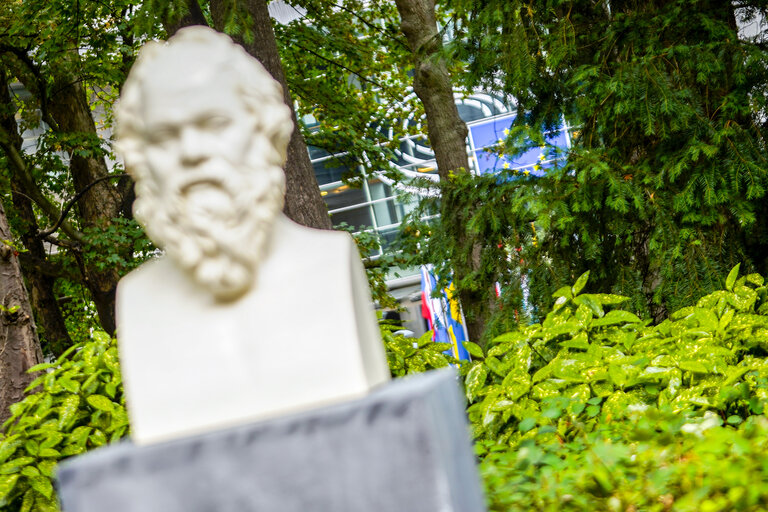 Images from the Citizen's Garden ahead of the inauguration