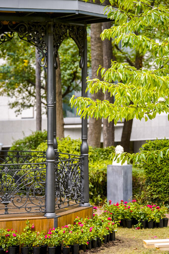 Images from the Citizen's Garden ahead of the inauguration