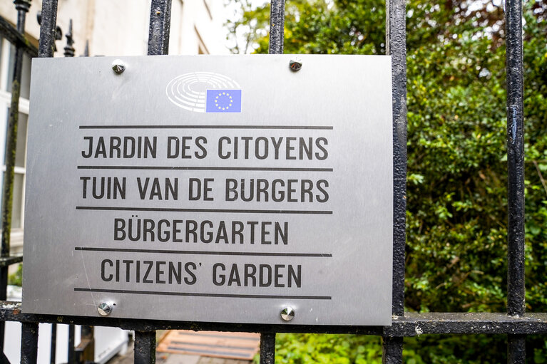 Fotó 31: Images from the Citizen's Garden ahead of the inauguration