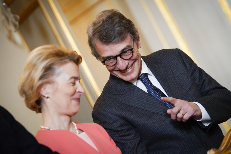 Fotografija 11: New Year reception at the Belgian Royal Palace for European Authorities