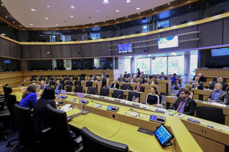 Fotografija 8: EP Management Innovation Day 2020 - European Council Strategic Agenda - Greater Responsibility for our Defense