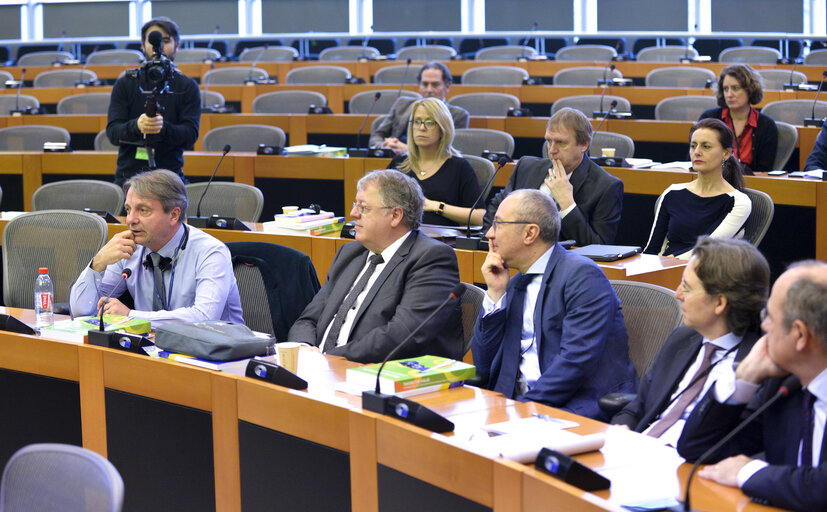 Foto 2: EP Management Innovation Day 2020 - Understanding the SEF for the European Union - Structure