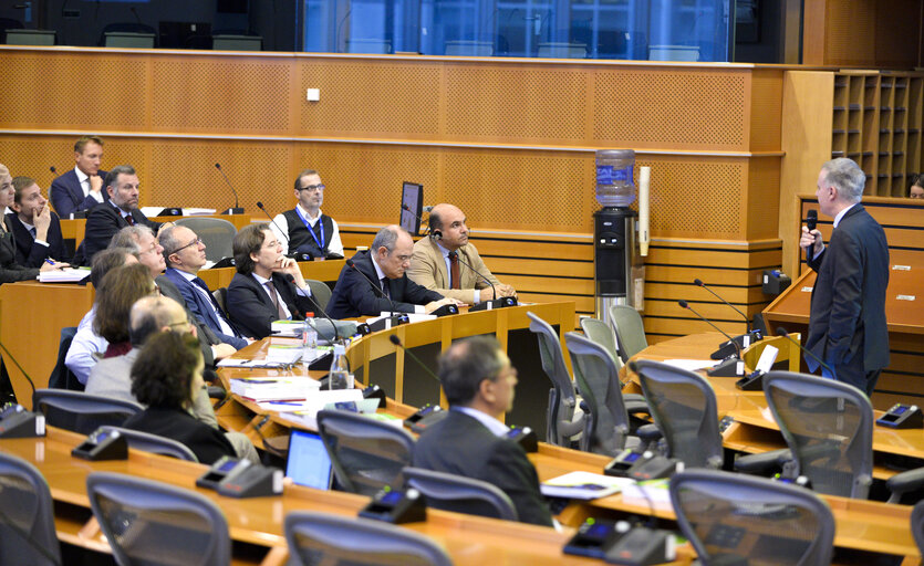 Foto 4: EP Management Innovation Day 2020 - Understanding the SEF for the European Union - Structure