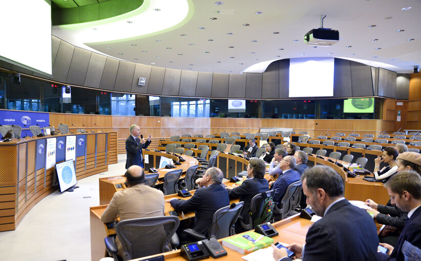 Foto 17: EP Management Innovation Day 2020 - Understanding the SEF for the European Union - Structure