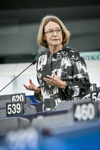 Photo 9 : EP Plenary session  movement - Commission statement - Common charger for mobile radio equipment