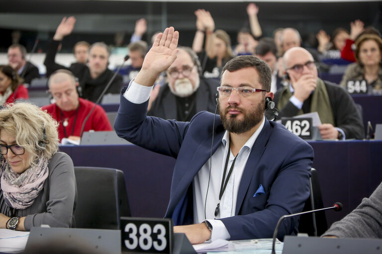 Zdjęcie 1: Marek BALT in the EP in Strasbourg