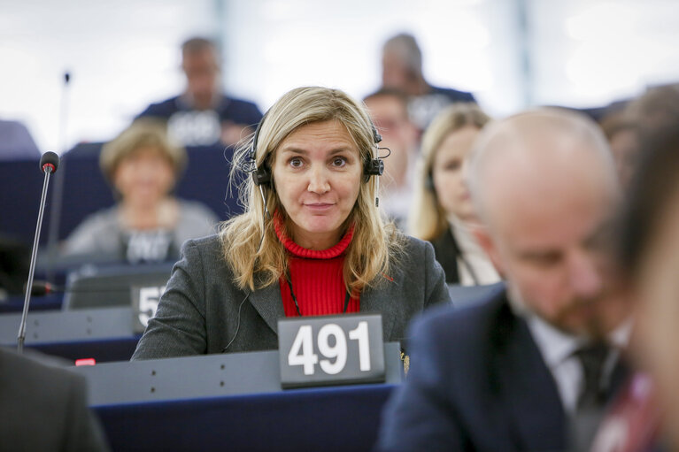 Foto 2: Agnes EVREN in the EP in Strasbourg