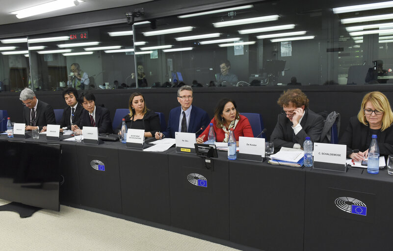 Fotó 2: Neena GILL, chair of the EU-Japan Inter-parliamentary meets with the Japan delegation