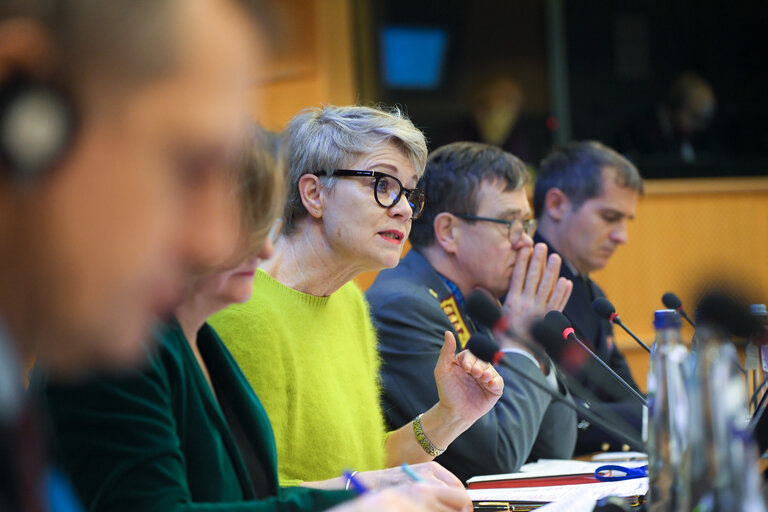 Nuotrauka 9: SEDE seminar - Exchange of views with on the military challenges in Sahel