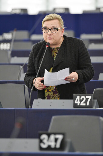 Foto 14: EP Plenary session - Situation in Iran and Iraq following recent escalations