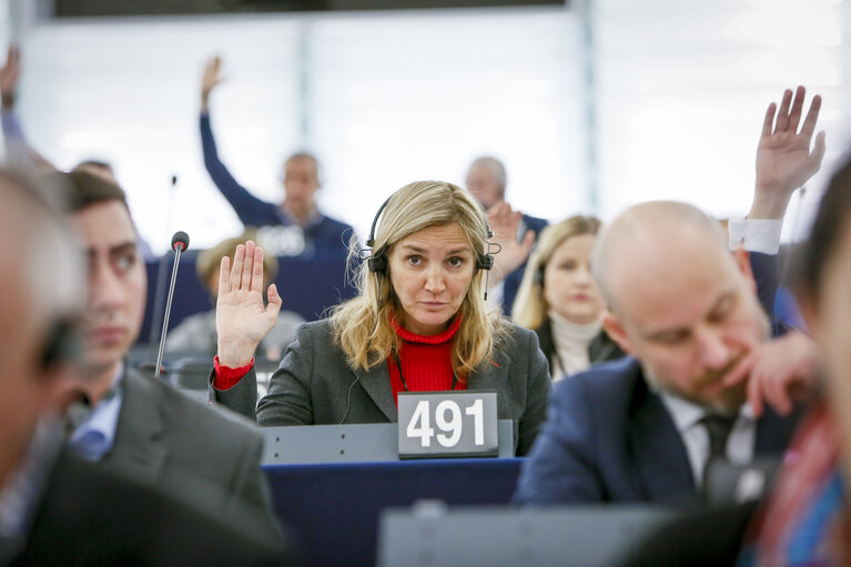 Valokuva 1: Agnes EVREN in the EP in Strasbourg