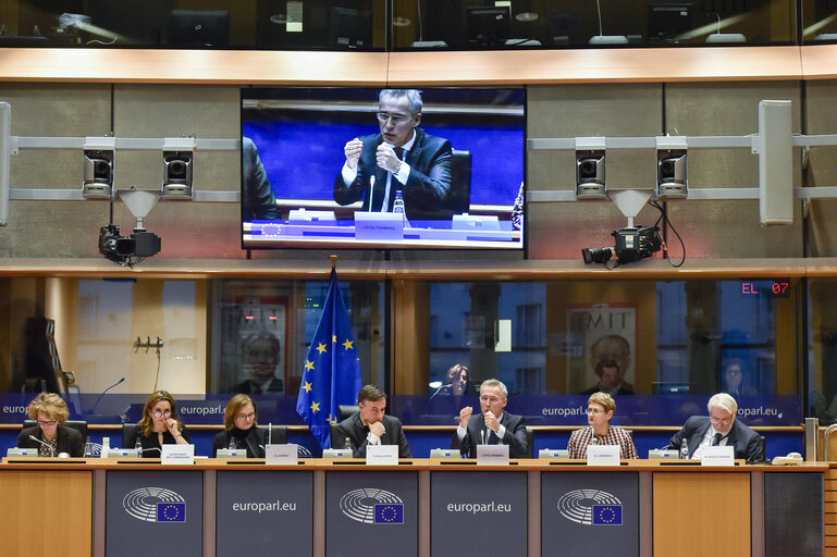 Photo 6 : AFET Public Hearing - Exchange of views with Jens Stoltenberg, NATO Secretary General