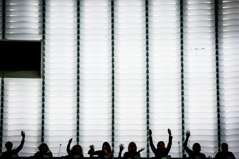 Fotografie 14: EP Plenary session - Votes - Shadows