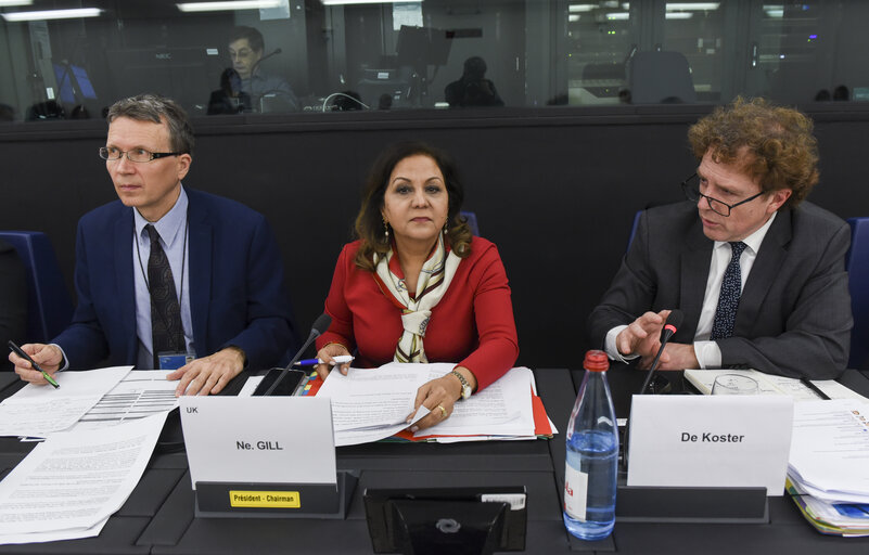 Fotó 6: Neena GILL, chair of the EU-Japan Inter-parliamentary meets with the Japan delegation