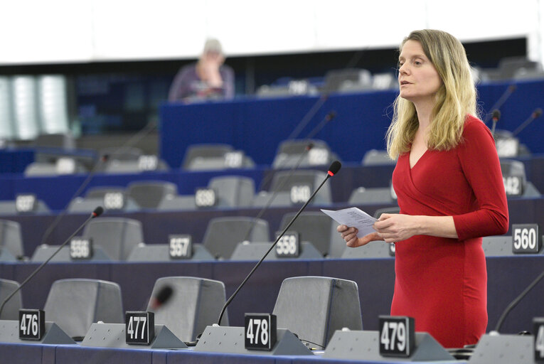 Foto 1: Henrike HAHN in the EP in Strasbourg