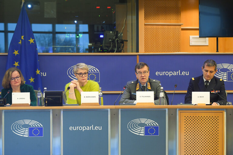 Nuotrauka 2: SEDE seminar - Exchange of views with on the military challenges in Sahel