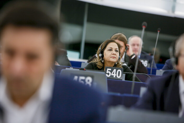 Neena GILL in the EP in Strasbourg