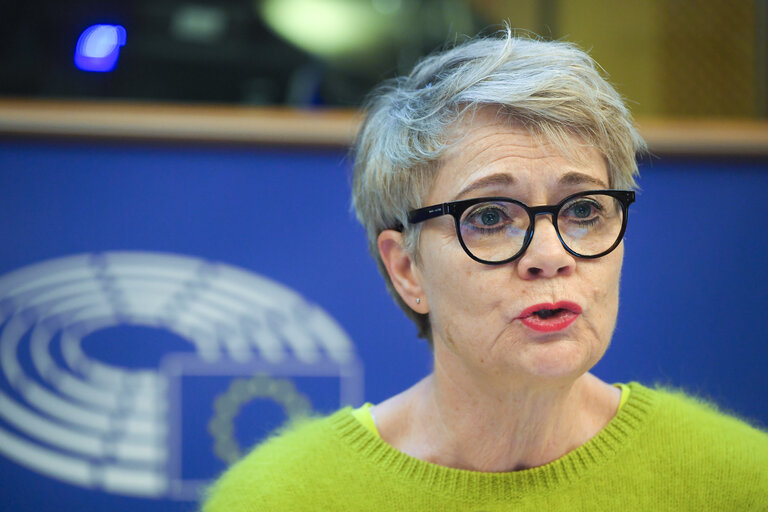 Nuotrauka 13: SEDE seminar - Exchange of views with on the military challenges in Sahel