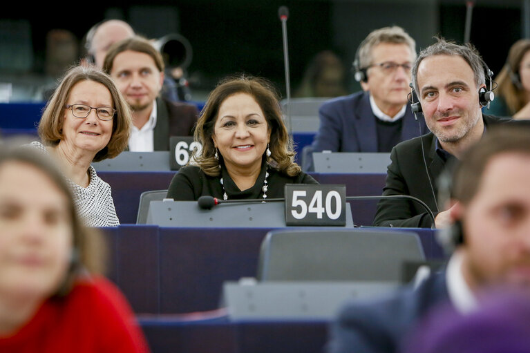 Photo 5: Neena GILL in the EP in Strasbourg