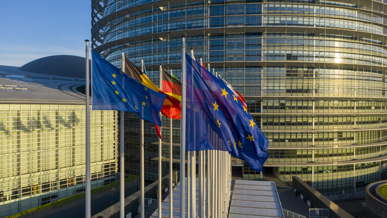 Foto 31: Aerial view of the EP building in Strasbourg