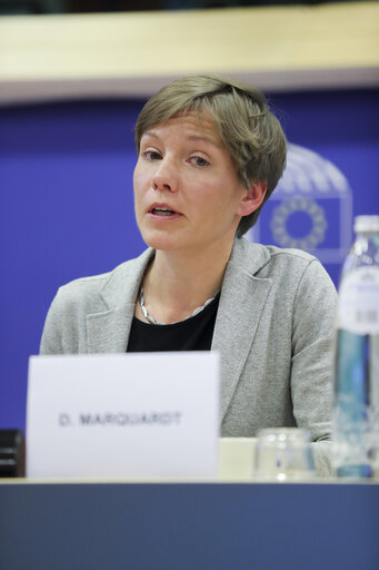 Photo 5: Smart farming: digitalisation of agriculture & vision for the new CAP