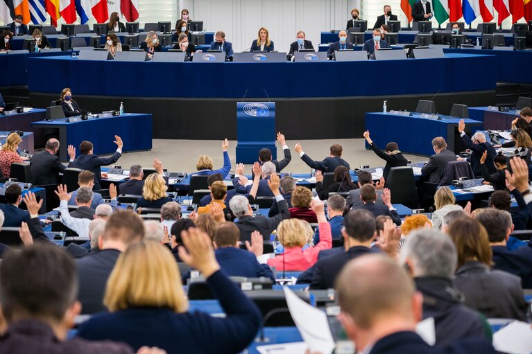 Foto 19: EP Plenary session - Voting session