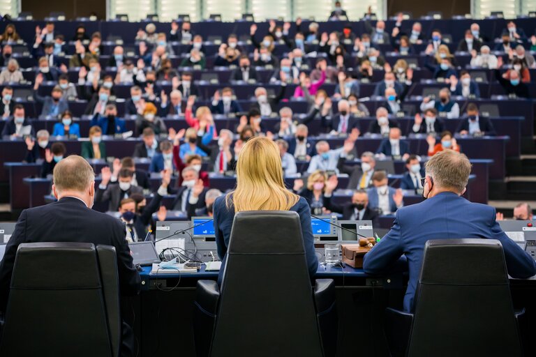 Foto 13: EP Plenary session - Voting session