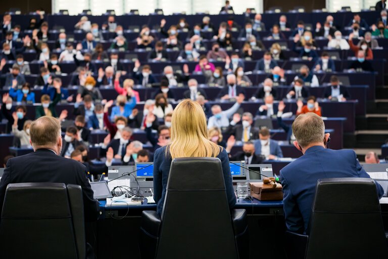 Foto 11: EP Plenary session - Voting session