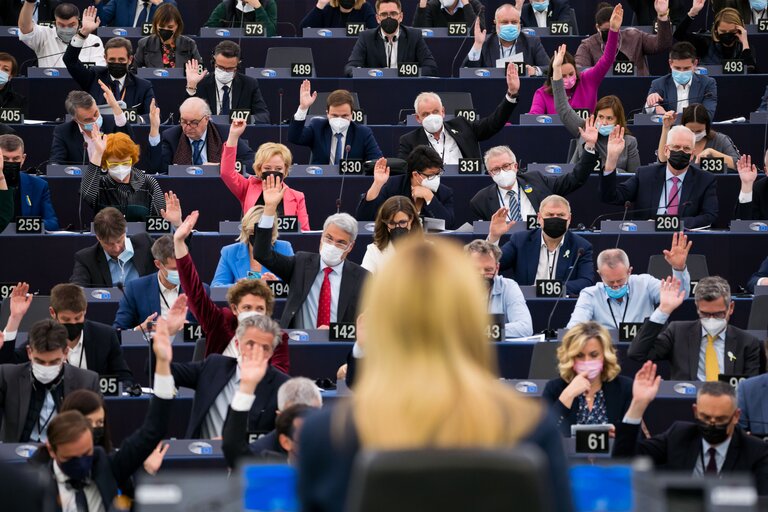 Nuotrauka 14: EP Plenary session - Voting session