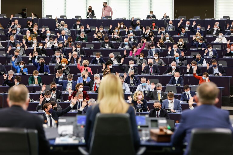 Nuotrauka 20: EP Plenary session - Voting session