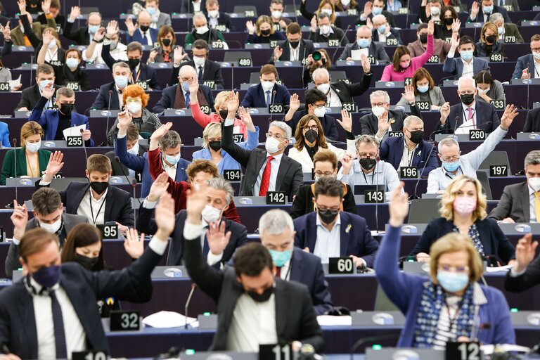 Nuotrauka 28: EP Plenary session - Voting session